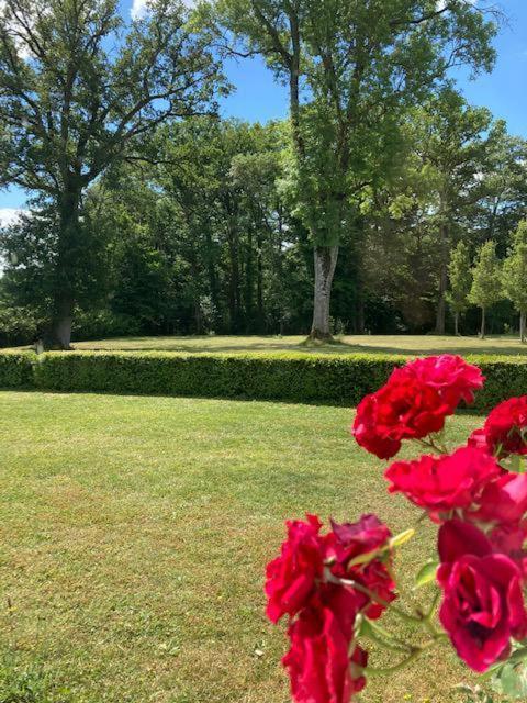 Domaine De La Vaudouriere Villa Lunay Oda fotoğraf