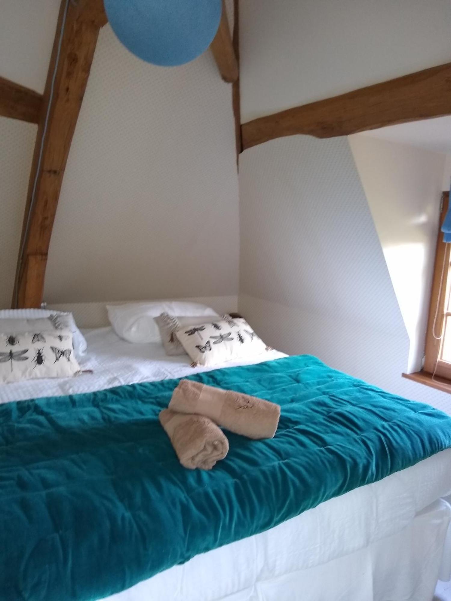Domaine De La Vaudouriere Villa Lunay Oda fotoğraf